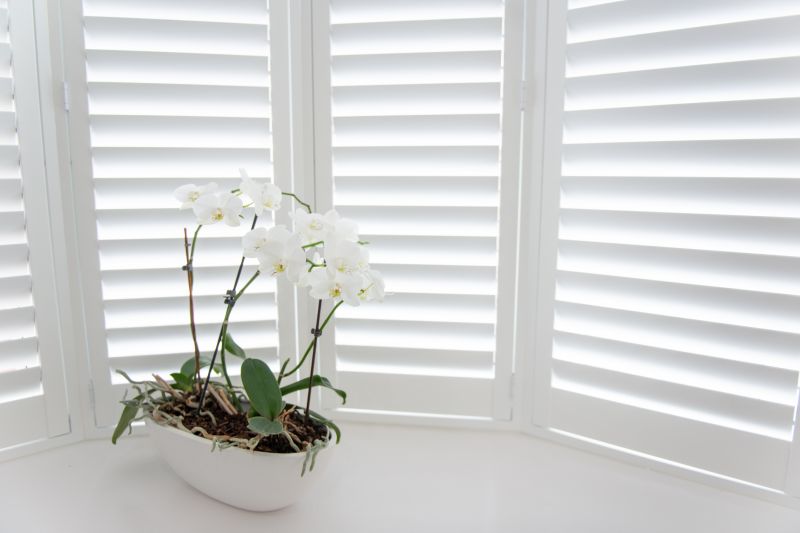 Shutter Mounting in Arvada, CO